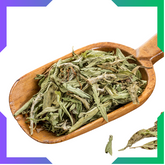 Stevia Leaves Powder